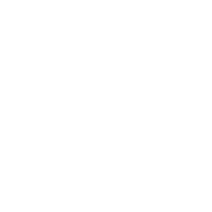 bs2